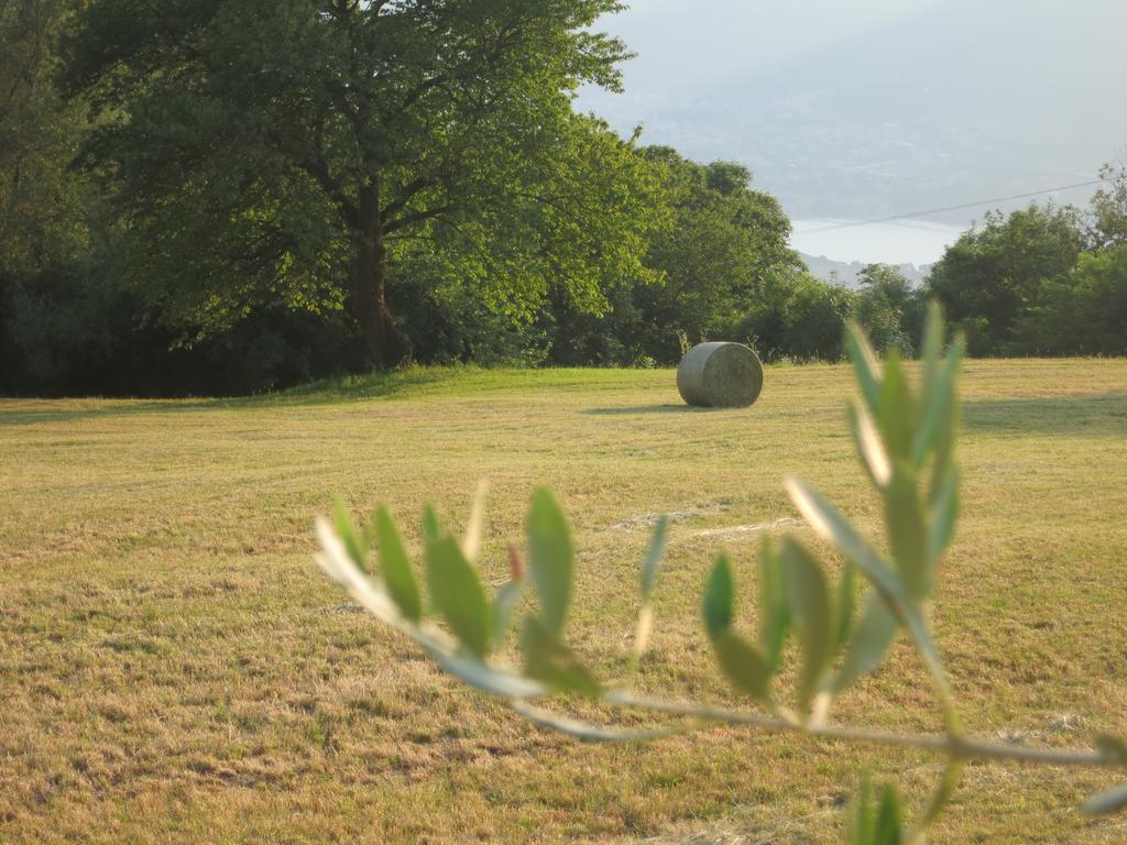 Agriturismo Deviscio Lecco Ngoại thất bức ảnh