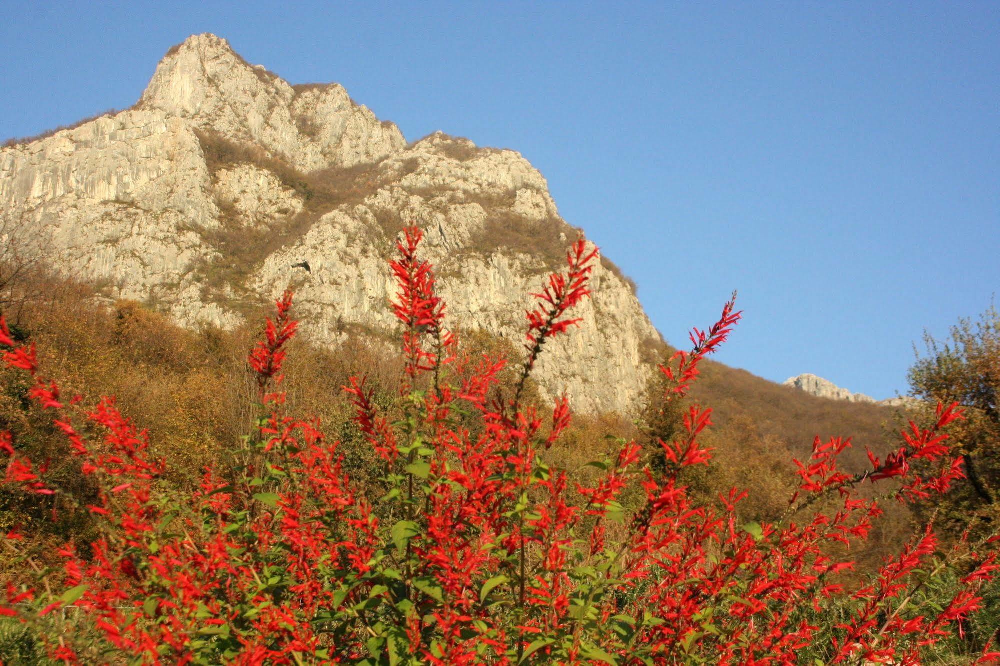 Agriturismo Deviscio Lecco Ngoại thất bức ảnh